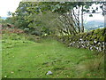 The Southern Upland Way near Creaganfois in DG7 3UJ