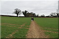 Footpath across field in CM24 8TB