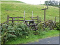 The Southern Upland Way near Barnhill Bridge in DG10 9QS
