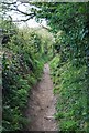 Footpath leading to Whitecliffe Farm in BH19 1FD
