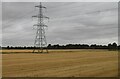 Pylon in arable field in NG24 3XJ