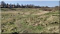Paths on the edge of Herringthorpe Playing Field in S60 3NU