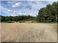 Open ground in Hawley Woods in GU17 9HZ