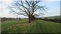 Public footpath near Thornton in Craven in BD23 3TD