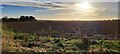 Field north of Alderton, morning light in IP12 3BB