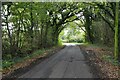 Unnamed low weald lane in TN26 3LG