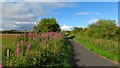 Cycle path running northeast from Kilwinning towards Blair Road in KA13 7EB