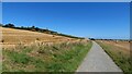 Track below Plumtree Hill, Hadleigh in Castle Point District (B)