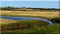 Walton Hall Marshes from path along edge of Walton Channel in CO14 8LQ