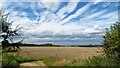 View northwest across field from Freewood Farm, Elmdon in CB11 4NW
