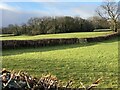Farmland near Pen-y-Bont in Llandovery Community