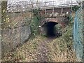 Foot tunnel and cattle creep near Norwood Farm in KT24 5JJ