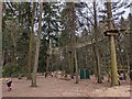 Playground and Go Ape in Santon Downham