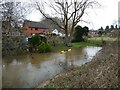 The River Perry in winter flood at Ruyton-XI-Towns in SY4 1JR