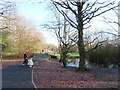 Whittle Hall Park with Boxing Day walkers in WA5 3GL