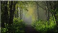 Misty sunlight on railway path south of Ryecroft Gate in SK11 0RH
