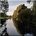 The River Sowe, looking upstream from Stoneleigh in CV3 6SD