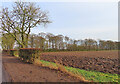 Ploughed Field in DD7 6LD