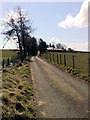 Road to Cotlandhill Farm in AB51 0LH