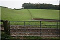 Field below The Nursery in HP17 8PH