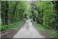 Country road near Upton Court in April in HR9 7UW