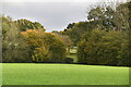 Farmland and woodland in TN26 3JX
