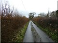 Rural lane in December in SY4 1LR