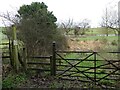 Footpath line towards a metal footbridge over the River Perry in SY4 1LR