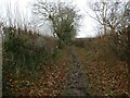 Old footpath between hedges in SY4 1LR