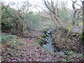 Llwybr ar lan nant fach / Path next to a small stream in CF32 0AL