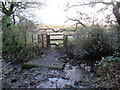 Llwybr yn croesi nant / Path crosses a stream in CF32 0BA