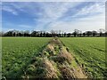 Footpath across field in CW1 1GJ