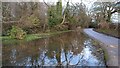 Brimming pond beside Kewlake Lane in Ashurst, Bramshaw, Copythorne & Netley Marsh Ward