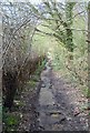 Footpath leading to High Rocks Road. in TN4 8LU