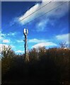 Telecoms Tower by the M4 in RG17 7BA