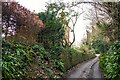 Odcombe : Woodhouse Lane in BA22 8TN