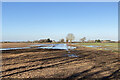 Near Willingham: icy water on Middle Fen  in Willingham