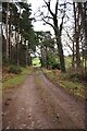 Track beside Rafford Church in IV36 2UH