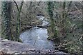 River downstream from road bridge in SA73 1JT