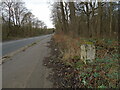 Old milestone in S66 7PZ