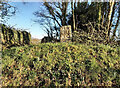Old Milestone by Green Lane, Whitchurch parish, Tavistock in PL19 9JG