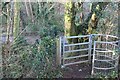 Gate on path to Water Lane in SA73 1LH