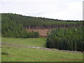 Forestry Ground Preparation in AB36 8TR