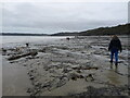 Amroth peat bed at low tide in SA67 8NF
