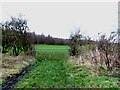 Field gate near Mark's Lane in DH4 6NT