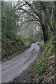 Five Ash Lane climbing past Southleigh Wood in BA12 9PA