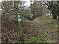 Footpath marker on the Mortimer Trail (Richard's Castle) in SY8 4ET