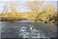 River Wylye surging over weir at Heytesbury Mill in BA12 0HE