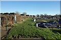 Cowleaze Walk Allotments in SN2 7TX