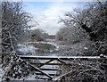 Snow covered wild area near Vicars Hall Lane in M28 1GZ